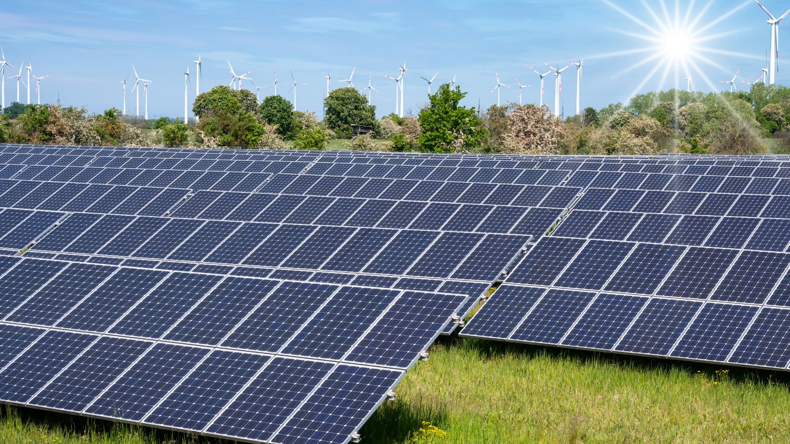 Commercial solar solutions